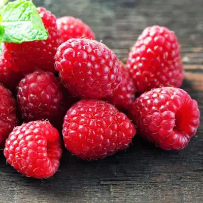 Малина ЭРИКА в Борисове