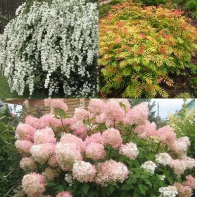 Комплект ФЕЙЕРВЕРК ЛЕТА в Борисове