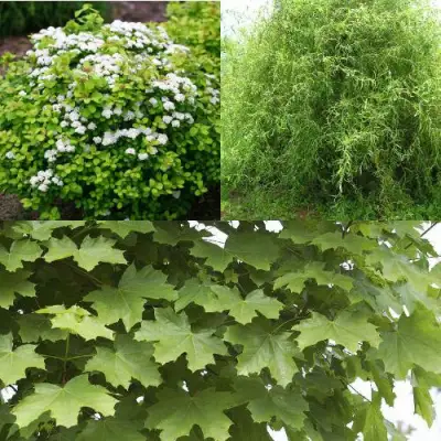 Комплект ЗЕЛЕНЫЙ ОАЗИС в Борисове