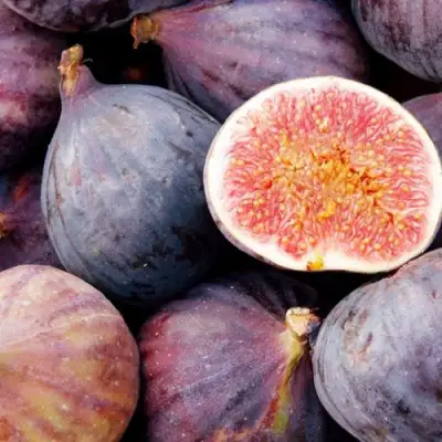 Инжир МУАССОН в Борисове