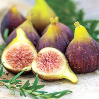 Инжир НИКИТСКИЙ в Борисове