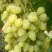 Виноград ЗАРНИЦА в Борисове