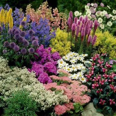 Травы  Травы в Борисове