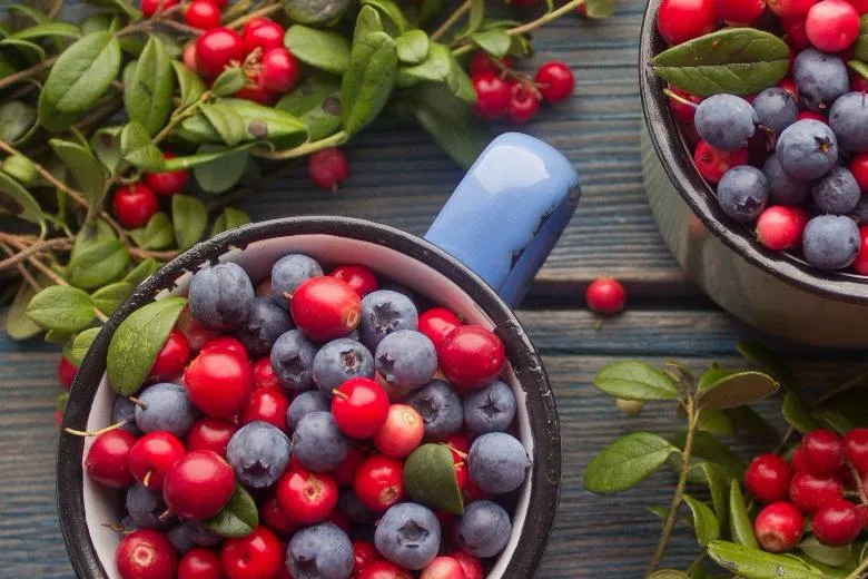 Свежие саженцы популярных ягод уже в продаже! Создайте собственный витаминный сад и наслаждайтесь урожаем долгие годы. Свежие саженцы популярных ягод уже в продаже! Создайте собственный витаминный сад и наслаждайтесь урожаем долгие годы.