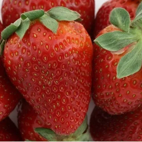 Клубника ФЛАМИНИЯ  Клубника ФЛАМИНИЯ в Борисове