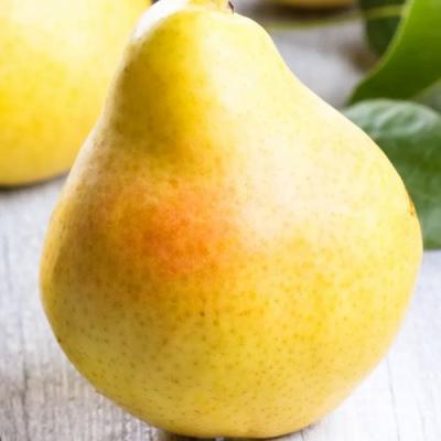 Желтая в Борисове