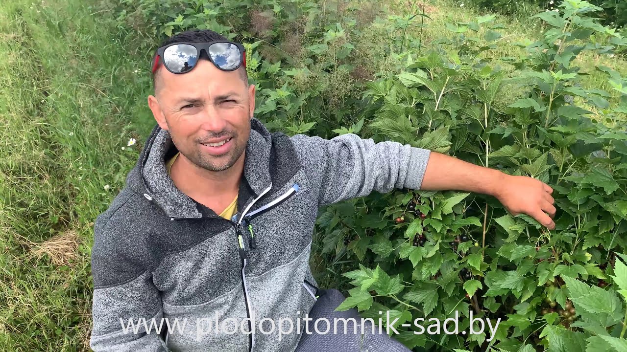 Превью видео