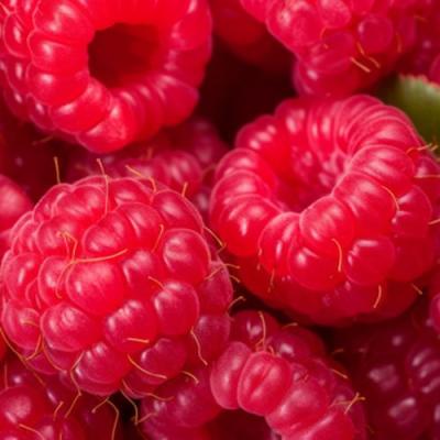 Красная в Борисове