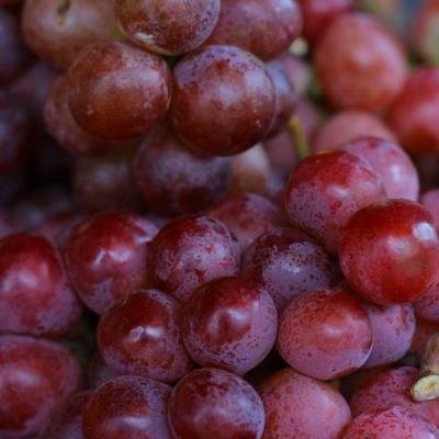 Красный в Борисове