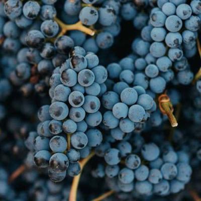 Технический в Борисове