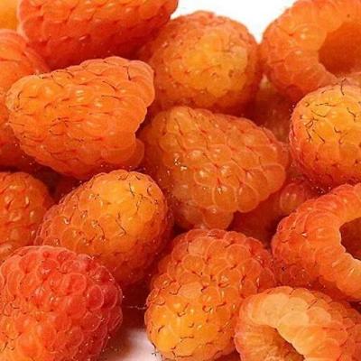 Оранжевая в Борисове